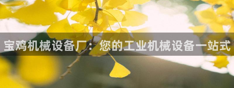 杏盛平台代理：宝鸡机械设备厂：您的工业机械设备一站式