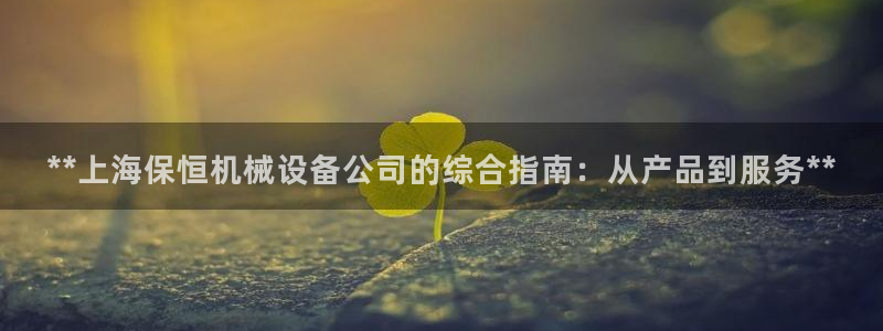 杏盛官网登录：**上海保恒机械设备公司的综合指南：从产品到服务**