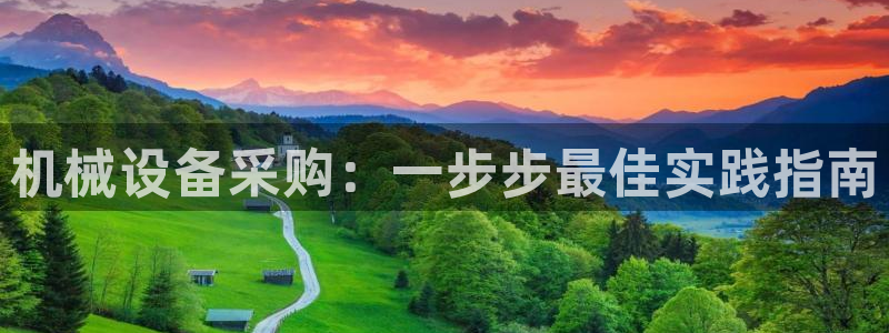 杏盛乐岳35994誓：机械设备采购：一步步最佳实践指南