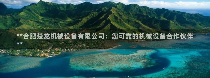 杏盛平台：**合肥楚龙机械设备有限公司：您可靠的机械设备合作伙伴
**