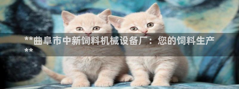 杏盛平台主管：**曲阜市中新饲料机械设备厂：您的饲料生产
**