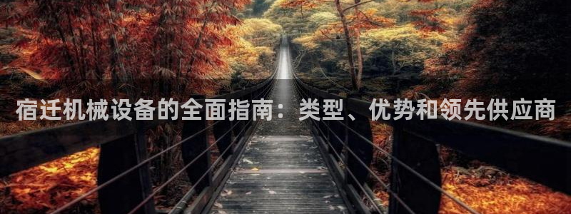 杏盛平台登录：宿迁机械设备的全面指南：类型、优势和领先供应商