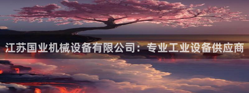 杏盛app下载：江苏国业机械设备有限公司：专业工业设备供应商