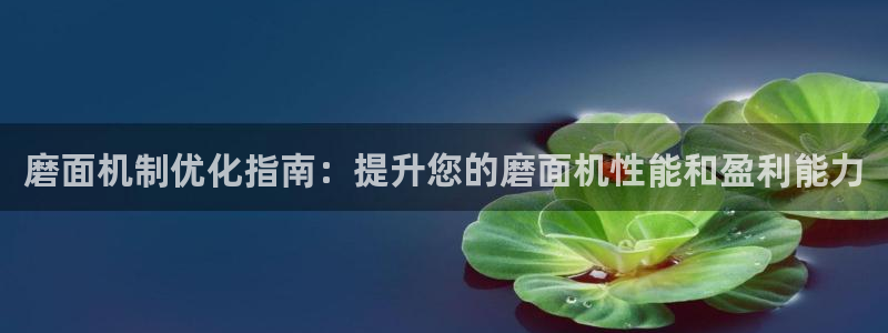 杏盛平台登陆地址：磨面机制优化指南：提升您的磨面机性能和盈利能力