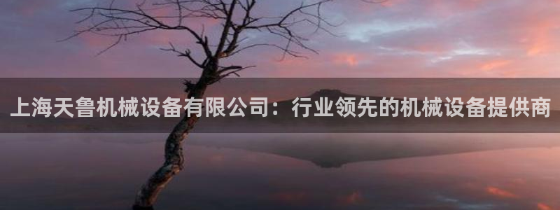 杏盛代理：上海天鲁机械设备有限公司：行业领先的机械设备提供商