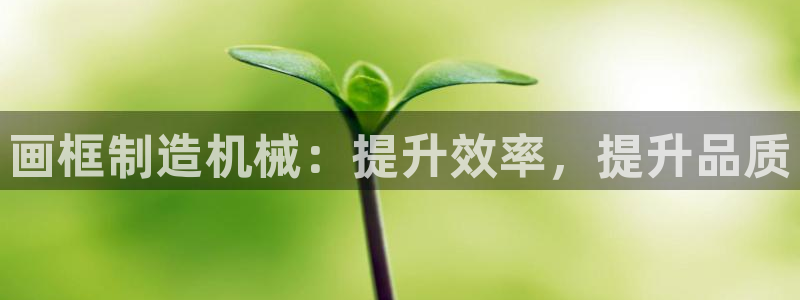 杏盛平台登陆地址：画框制造机械：提升效率，提升品质