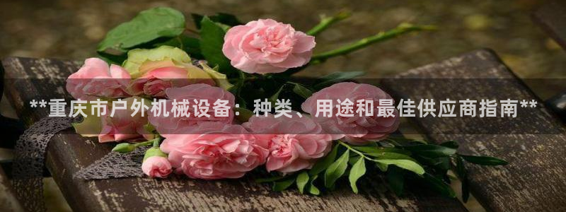 杏盛官网登录：**重庆市户外机械设备：种类、用途和最佳供应商指南**