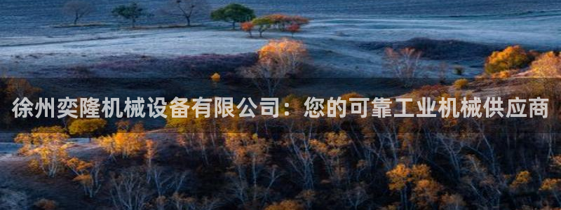 杏盛注册登录：徐州奕隆机械设备有限公司：您的可靠工业机械供应商