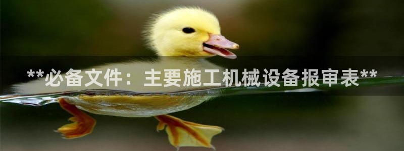 杏盛平台：**必备文件：主要施工机械设备报审表**