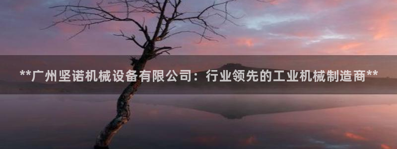 杏盛注册登录：**广州坚诺机械设备有限公司：行业领先的工业机械制造商**