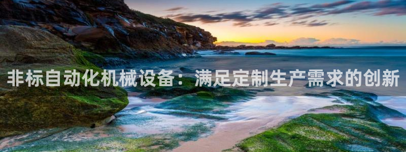 杏盛平台注册登录：非标自动化机械设备：满足定制生产需求的创新