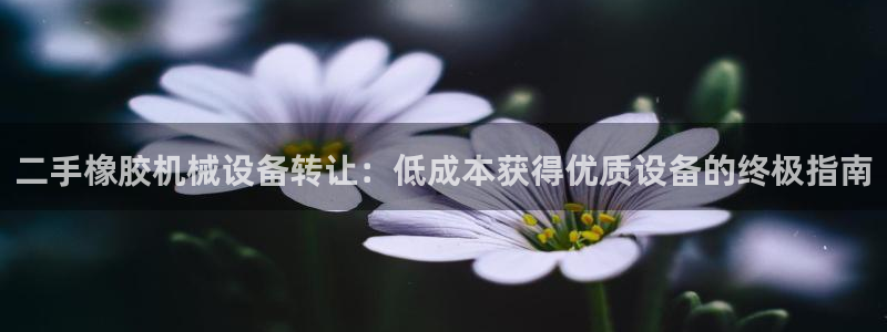 杏盛乐岳35994誓：二手橡胶机械设备转让：低成本获得优质设备的终极指南