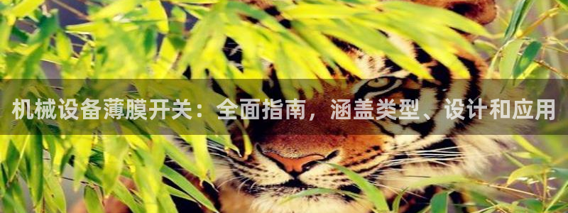 杏盛平台官网：机械设备薄膜开关：全面指南，涵盖类型、设计和应用