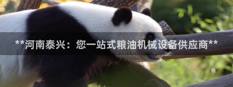 杏盛官网：**河南泰兴：您一站式粮油机械设备供应商**