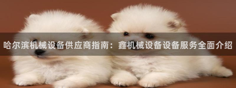 杏盛主管：哈尔滨机械设备供应商指南：鑫机械设备设备服务全面介绍