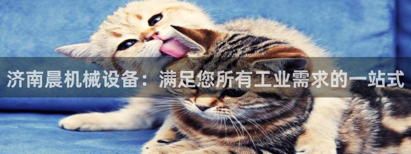 杏盛注册登录：济南晨机械设备：满足您所有工业需求的一站式