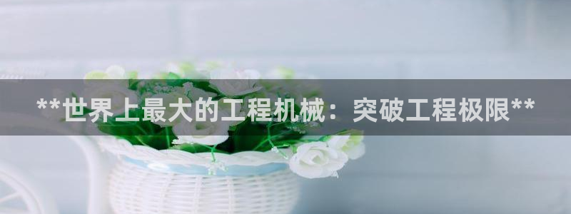 杏盛乐岳35994誓：**世界上最大的工程机械：突破工程极限**