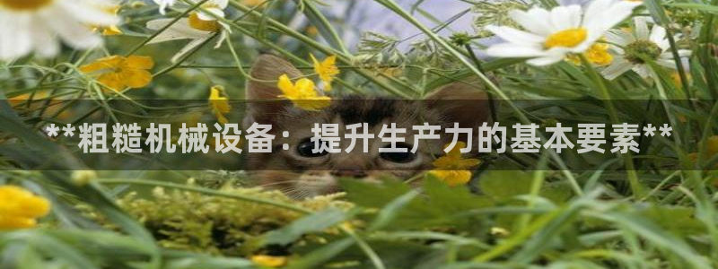 杏盛平台注册登录：**粗糙机械设备：提升生产力的基本要素**