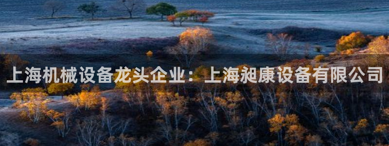 杏盛代理：上海机械设备龙头企业：上海昶康设备有限公司