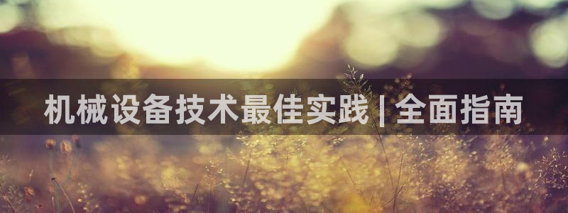 杏盛东24 35 53：机械设备技术最佳实践 | 全面指南