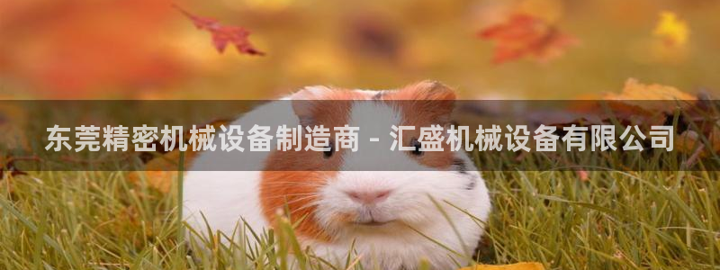 杏盛平台登陆地址：东莞精密机械设备制造商 - 汇盛机械设备有限公司