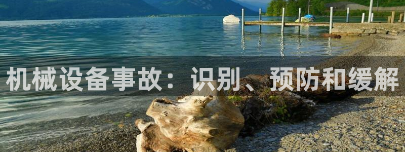杏盛东24 35 53：机械设备事故：识别、预防和缓解