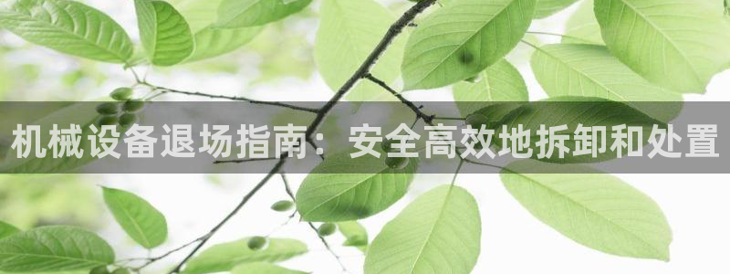 杏盛乐岳35994誓：机械设备退场指南：安全高效地拆卸和处置