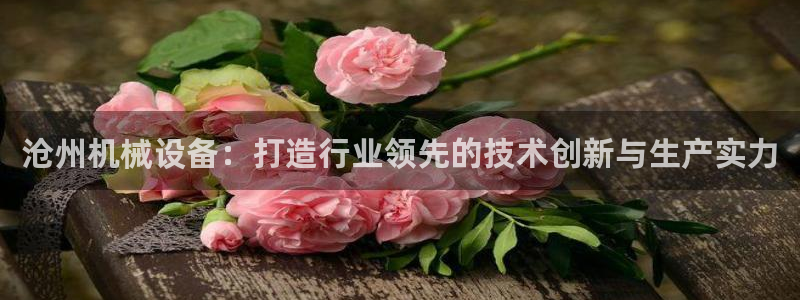 杏盛东24 35 53：沧州机械设备：打造行业领先的技术创新与生产实力