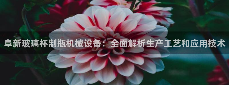 杏盛app下载：阜新玻璃杯制瓶机械设备：全面解析生产工艺和应用技术