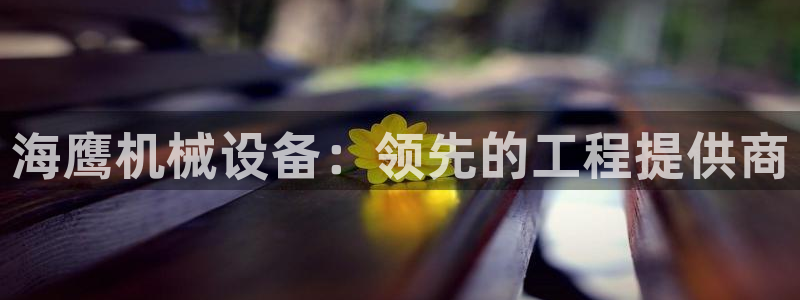 杏盛代理：海鹰机械设备：领先的工程提供商