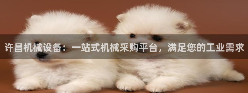 杏盛平台登陆地址：许昌机械设备：一站式机械采购平台，满足您的工业需求