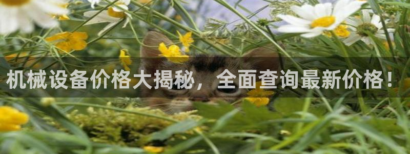 杏盛平台登陆：机械设备价格大揭秘，全面查询最新价格！