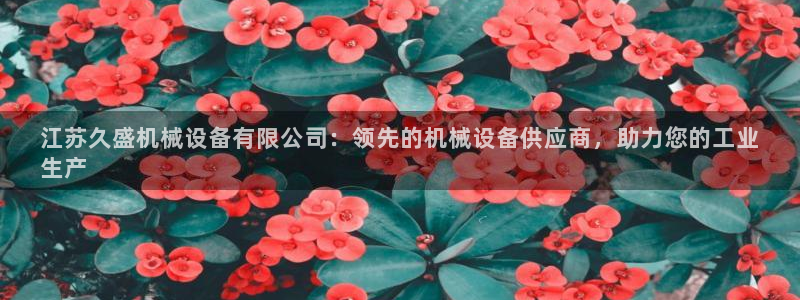 杏盛注册登录：江苏久盛机械设备有限公司：领先的机械设备供应商，助力您的工业
生产