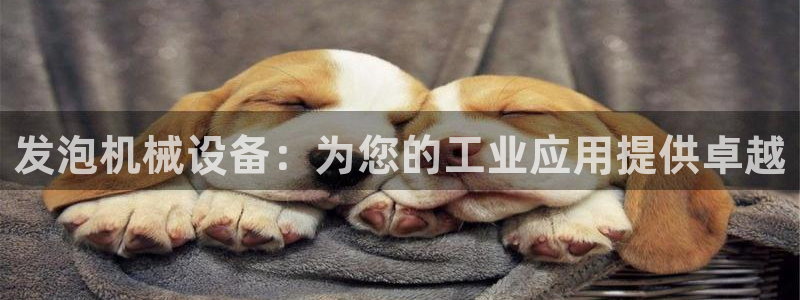 杏盛平台开户 贴吧：发泡机械设备：为您的工业应用提供卓越