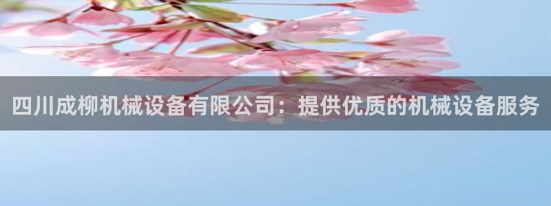 杏盛平台注册：四川成柳机械设备有限公司：提供优质的机械设备服务