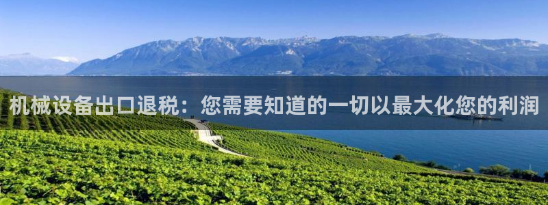 杏盛平台注册登录：机械设备出口退税：您需要知道的一切以最大化您的利润