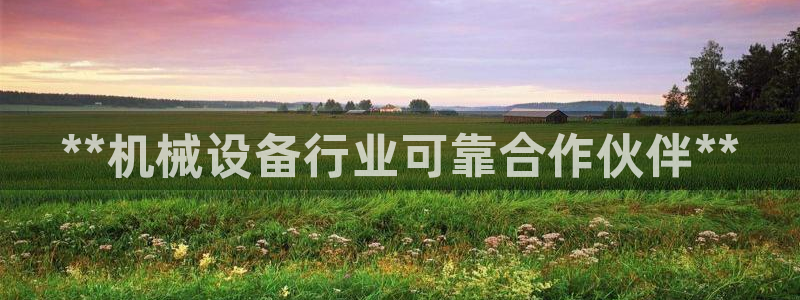 杏盛平台登录：**机械设备行业可靠合作伙伴**
