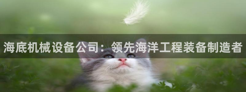 杏盛东24 35 53：海底机械设备公司：领先海洋工程装备制造者