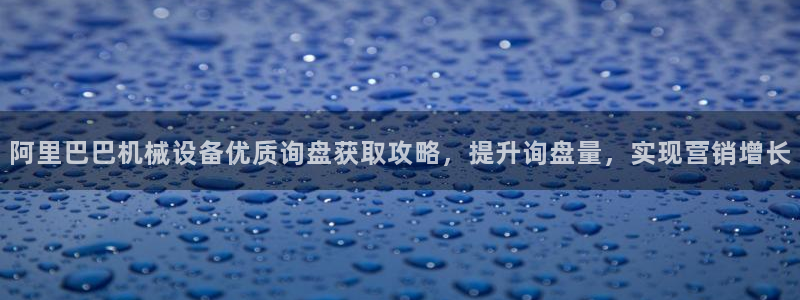 杏盛平台登陆地址：阿里巴巴机械设备优质询盘获取攻略，提升询盘量，实现营销增长