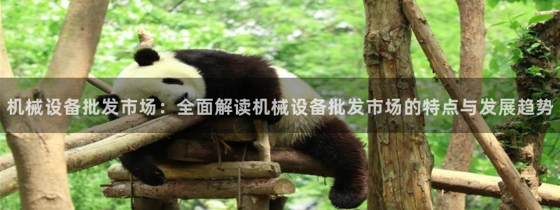 杏盛平台代理：机械设备批发市场：全面解读机械设备批发市场的特点与发展趋势