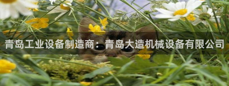 杏盛平台登陆：青岛工业设备制造商：青岛大造机械设备有限公司