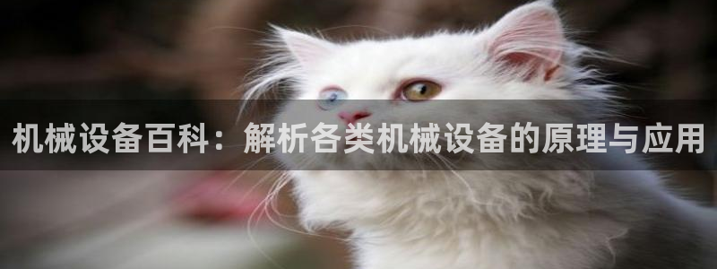 杏盛平台官网注册：机械设备百科：解析各类