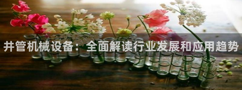 杏盛乐岳35994誓：井管机械设备：全面解读行业发展和应用趋势