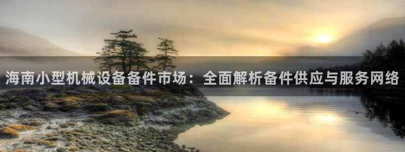 杏盛平台上级：海南小型机械设备备件市场：全面解析备件供应与服务网络