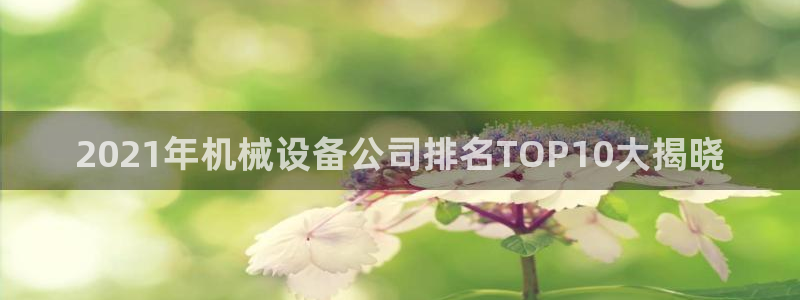 杏盛平台官网注册：2021年机械设备公司排名TOP10大揭晓