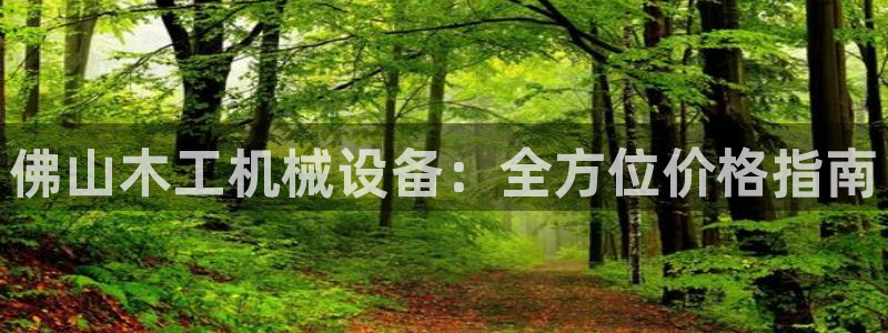 杏盛开户地址：佛山木工机械设备：全方位价格指南