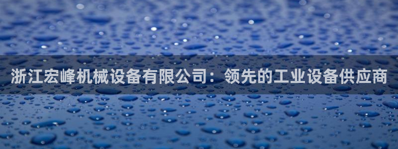 杏盛平台官网：浙江宏峰机械设备有限公司：领先的工业设备供应商