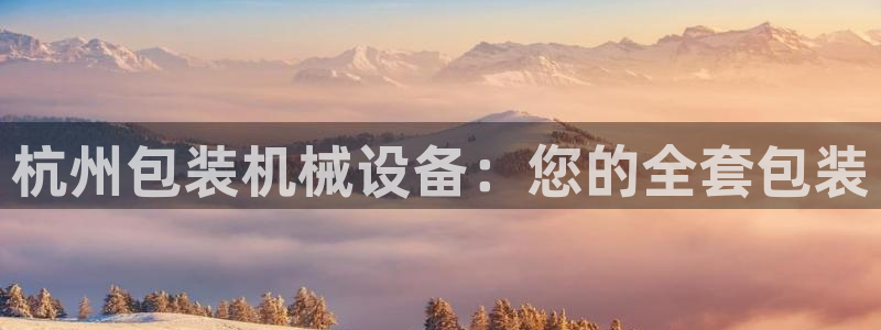 杏盛平台代理：杭州包装机械设备：您的全套包装