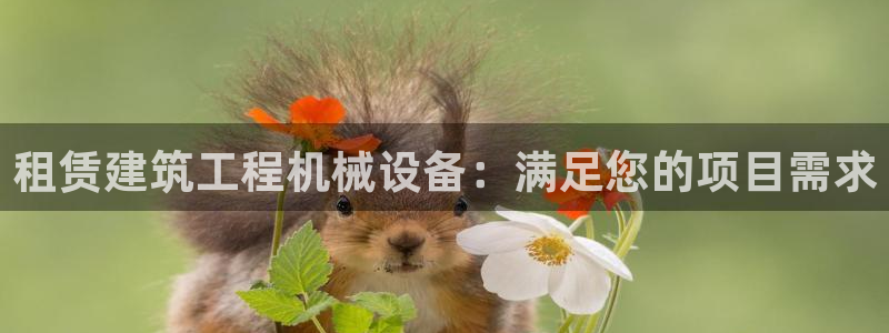 杏盛注册登录：租赁建筑工程机械设备：满足您的项目需求