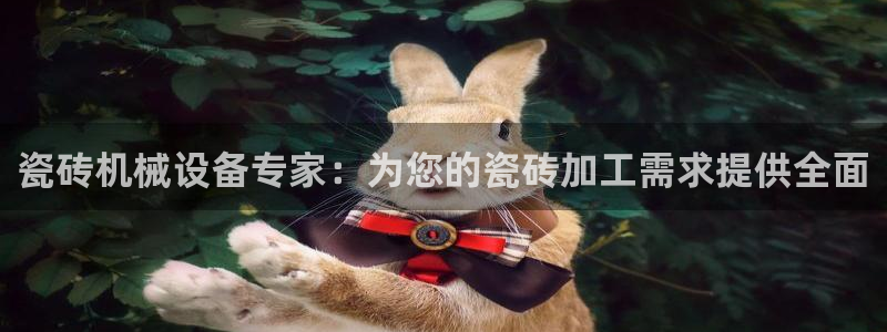 杏盛平台登陆地址：瓷砖机械设备专家：为您的瓷砖加工需求提供全面